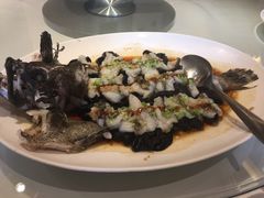 石锅古法蒸老虎斑-利苑酒家(华熙国际店)