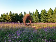 -羊亭河湿地公园