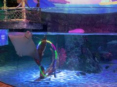 -沈阳海洋探索中心