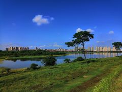 -盘龙城国家考古遗址公园