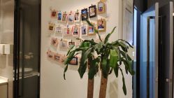 -妈妈时光机医疗产后修复(南山茂业百货店)