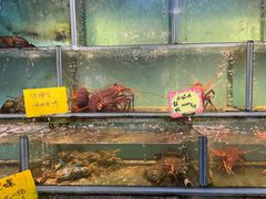 -阿兴生鱼片(大光路店)