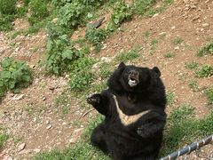 -大连森林动物园