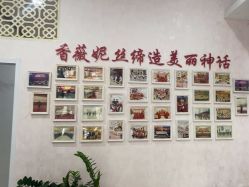 -香薇妮丝·定制减肥·身材管理