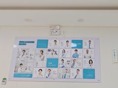 -美联众合动物医院·24h京西诊疗中心
