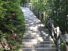 -汤旺河林海奇石景区
