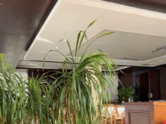 -望海·帆船主题咖啡厅•品茗下午茶(石湖景区店)