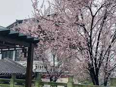 -句容茅山景区