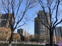 -BE YOLO必有乐&小红帽三明治