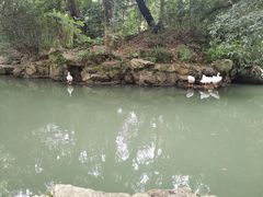 -兰亭风景区
