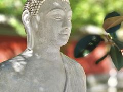 -护国法轮寺