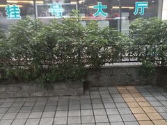 -中山大学中山眼科中心(区庄院区)