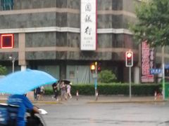 -中国银行(上海市浦东分行营业部)