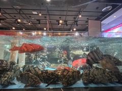 -紫阳海鲜楼·传承闽味(长乐路总店)