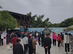 -广东惠东海龟国家级自然保护区