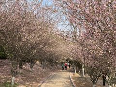 -南山风景名胜区