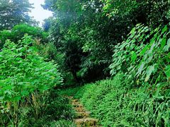 -梧桐山风景名胜区