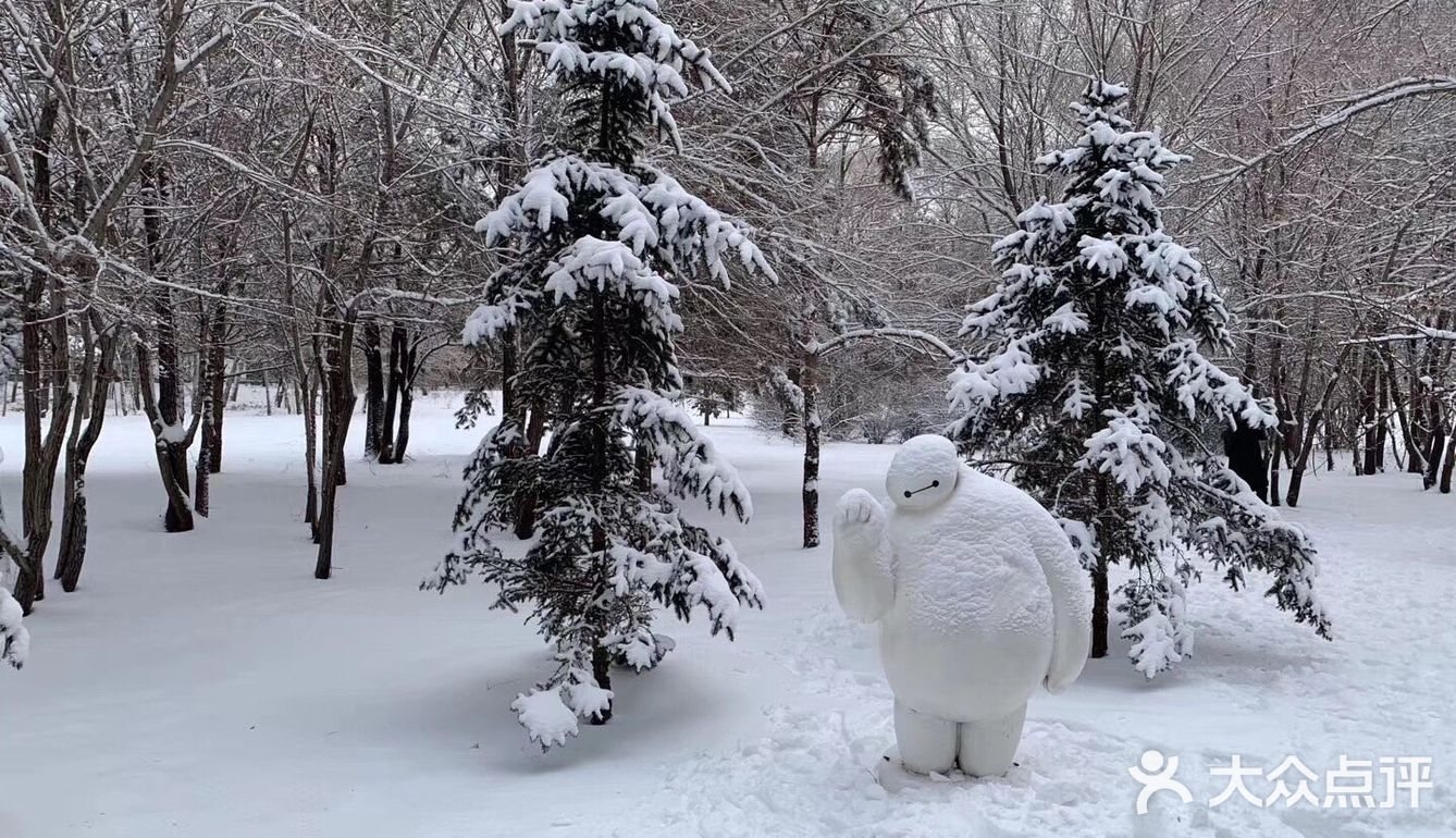 净月湖下雪啦！❄️