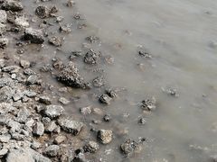 -东疆建设开发纪念公园