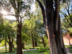 -北京市劳动人民文化宫(太庙)