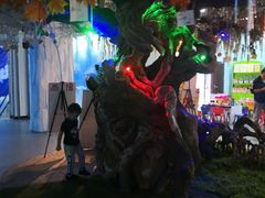 -芜湖新华联大白鲸海洋公园