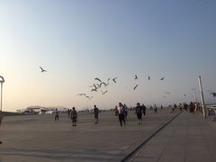 -东港音乐喷泉广场