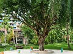 -三亚湾海居雅高铂尔曼度假酒店