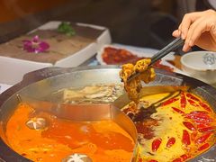 -大龙燚火锅(天钥桥路店)