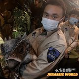 妈耶，恐龙复活了！？带你亲眼观赏一比一还原最真实的侏罗纪世界