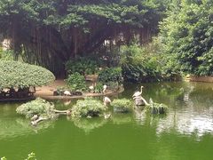 -九龙公园