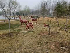 -呷哺呷哺 黄金牧场 (枣强吉美购物广场店)