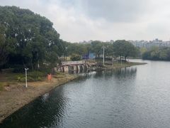-新江湾城公园