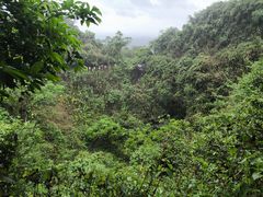 -海口火山口国家地质公园