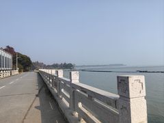 -贡湖湾湿地公园
