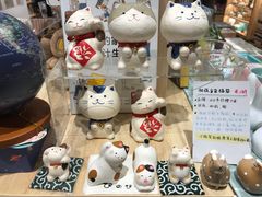-猫的天空之城概念书店(丽江古城饮玉巷店)