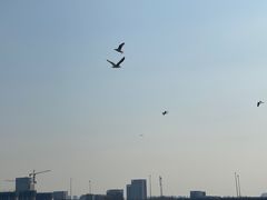 -天津金海湖