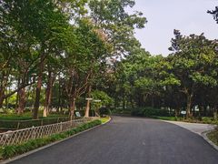 -白塘生态植物园