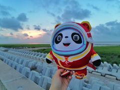 -南汇嘴观海公园