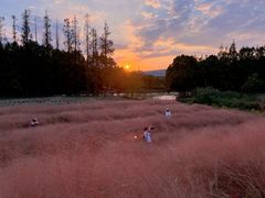 -嘉北郊野公园