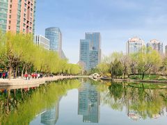 -团结湖公园