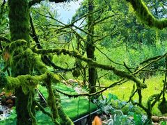 -沂蒙山旅游区云蒙景区(蒙山国家森林公园)