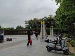 -王借岗森林公园