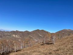 -灵山