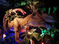 -恐龙探索乐园(磁器口店)