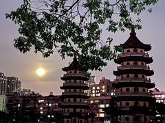 -宝岛公园