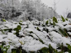 -太阳湾风景区
