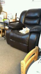 -尚美日式美甲美睫工作室