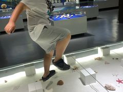 -贝壳王国博物馆