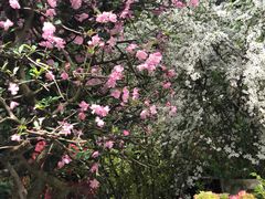 -双季花艺园艺市场(浦东店)