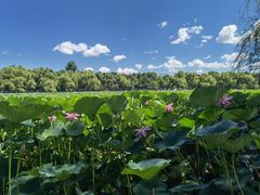 -长春市南湖公园